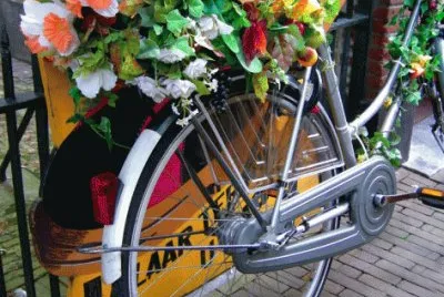 Dutch flower power Bike