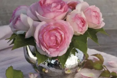 Roses and Teapot
