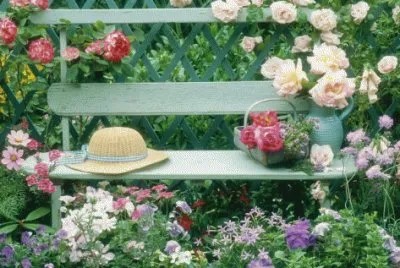 Summer outdoor Arrangement