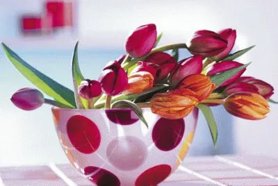 Tulips and Dots