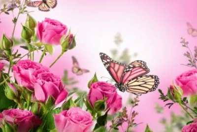 Beautiful Flowers