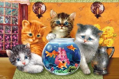 animais
