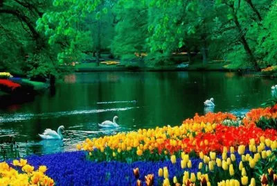 natureza