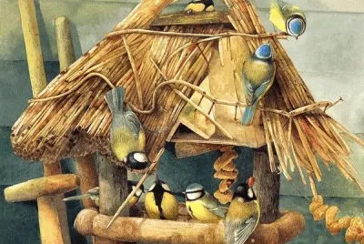 animais