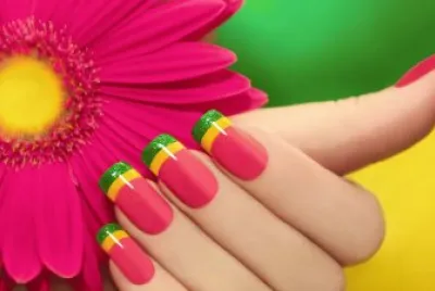 Gerbera pink Flower
