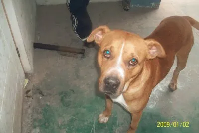 jhorancito