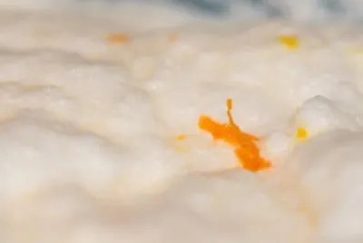 MARSU