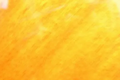 MARSU