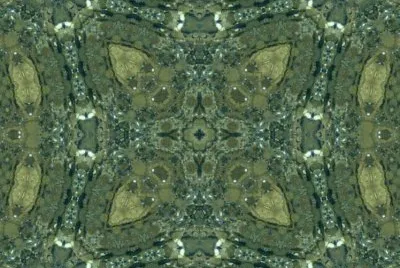 MARSU