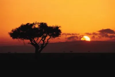 CAMPO ATARDECER
