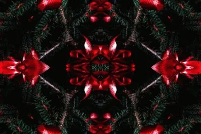 MARSU