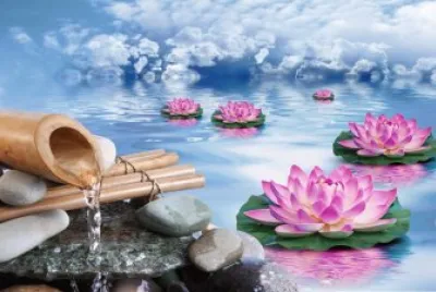 Lily pond flow