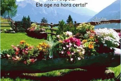natureza