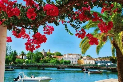 natureza jigsaw puzzle