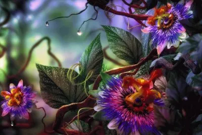 Nature