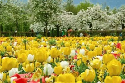natureza