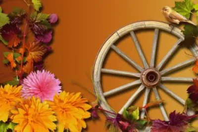 Wheel of Beauty