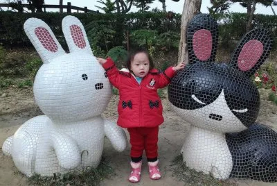 å…”å…”