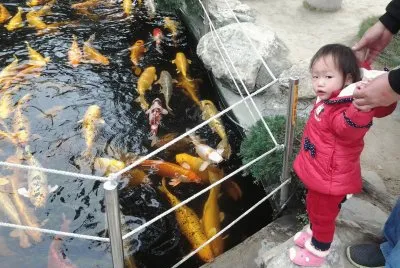 é±¼(âŠ™oâŠ™)å“¦