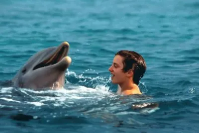 Flipper