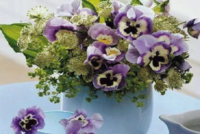 flores