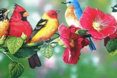 Birds Meeting