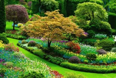 natureza