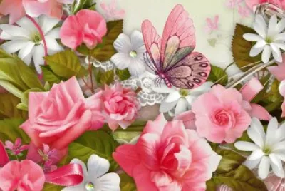 Beautiful Roses