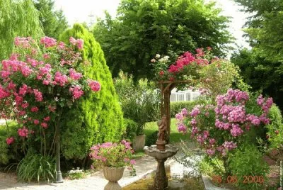jardin