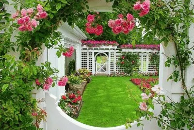 jardim