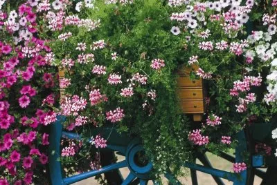 Flower Mix