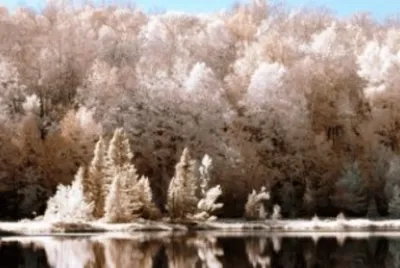 winter-38 jigsaw puzzle