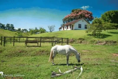 campo