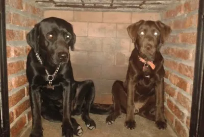 Igor y Katia