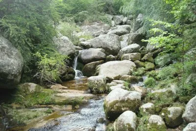 rio