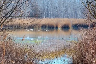 Estany de Sils