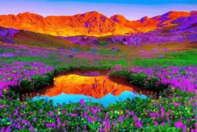 Beautiful Nature