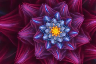 Beautiful Flower