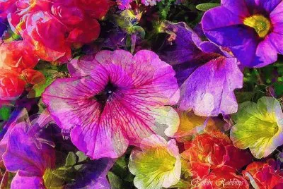 Flowerful