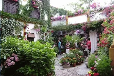 Patio con Flores.