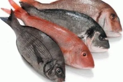 Peixes