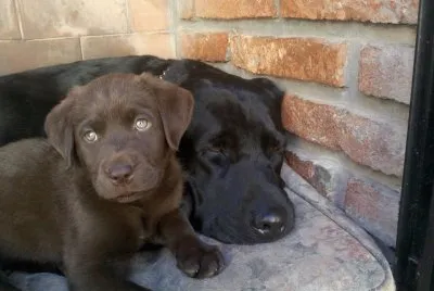 Igor y Kaatia bebÃ©