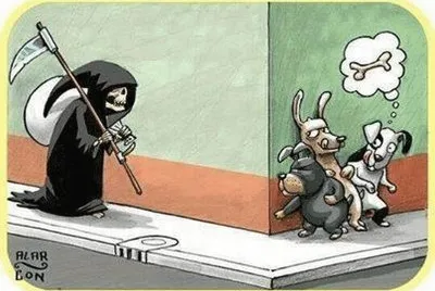 La Muerte y los Perros