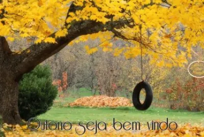 balanÃ§o