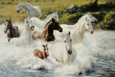 cavalos jigsaw puzzle