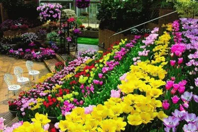 flores