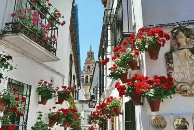 flores jigsaw puzzle