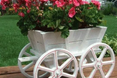 jardim