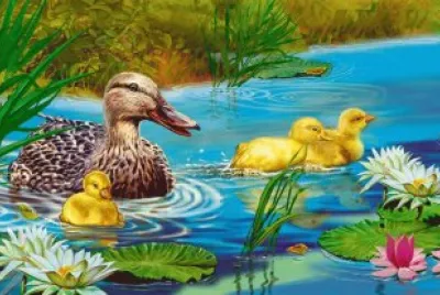 patos