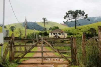 pinheiro